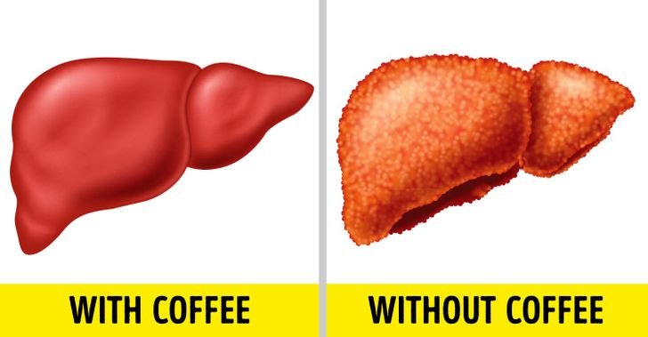 Are You Healthier With or Without Coffee?